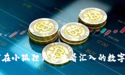 如何在小狐狸钱包查看汇入的数字货币